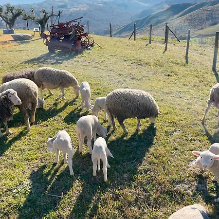 Alojamento de Turismo Rural Pietra Pizzuta Torre de' Passeri