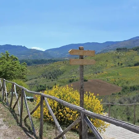 Pietra Pizzuta *