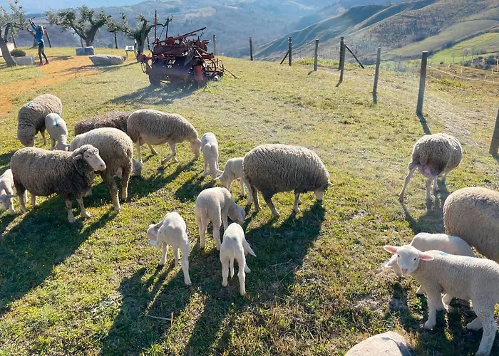 Alloggio per agriturismo Pietra Pizzuta Torre de' Passeri