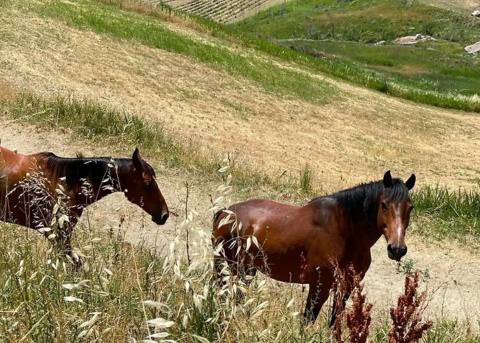 Alloggio per agriturismo Pietra Pizzuta